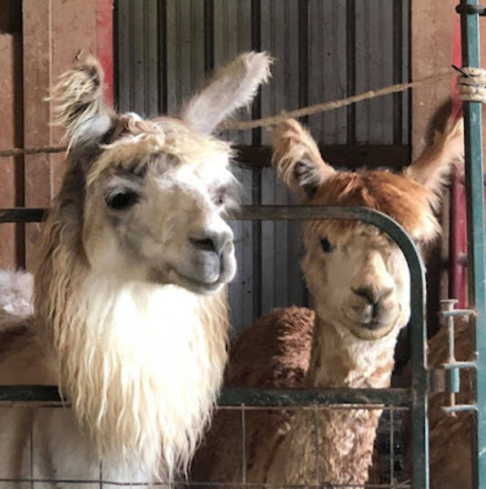 Meet your Posher, Kathleen